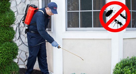 Sultandağı Uçan Haşere İlaçlama böcek ilaçlama ve haşere kontrolü — ilaclama-tr.com